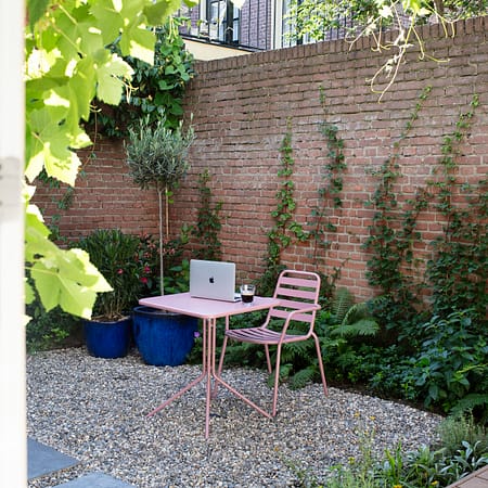 Tuin